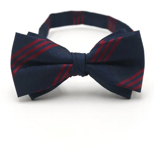 Бабочка GENTLETEAM, для мужчин, красный, синий
