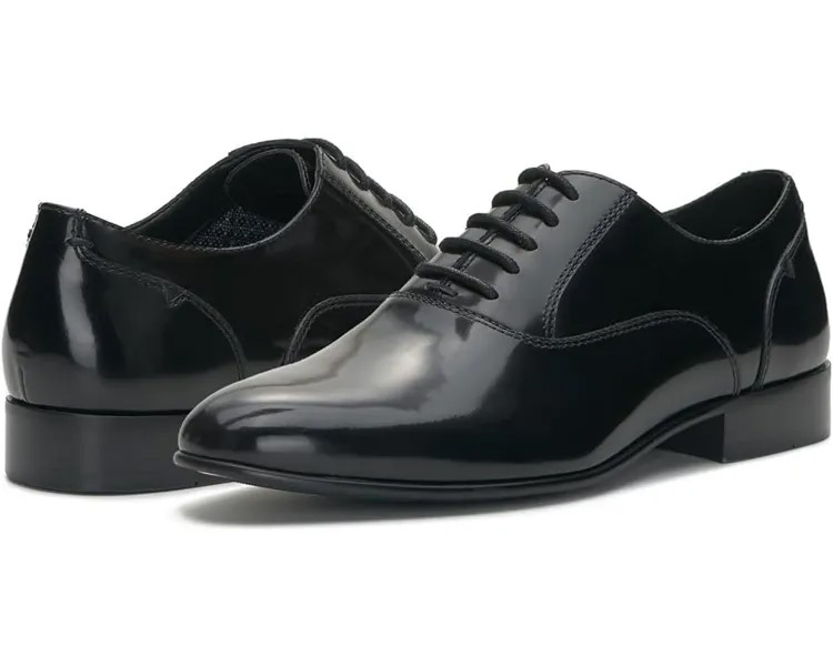 Оксфорды Vince Camuto Jensin Dress Oxford, цвет Matte Black
