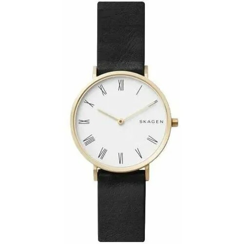 Наручные часы SKAGEN, черный