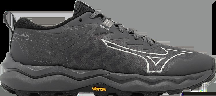 Кроссовки Wmns Wave Daichi 8 GORE-TEX Wide 'Iron Gate Nimbus Cloud', черный