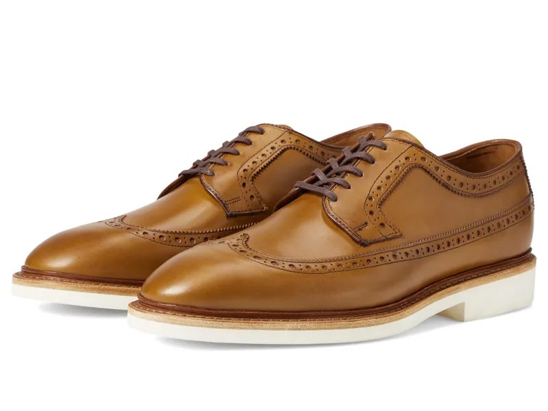 Оксфорды Allen Edmonds William