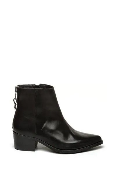 Кожаные сапоги Сораны Steve Madden, черный