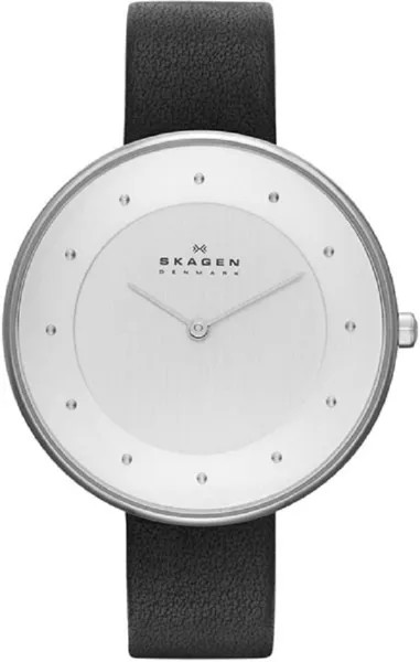 Наручные часы Skagen SKW2232