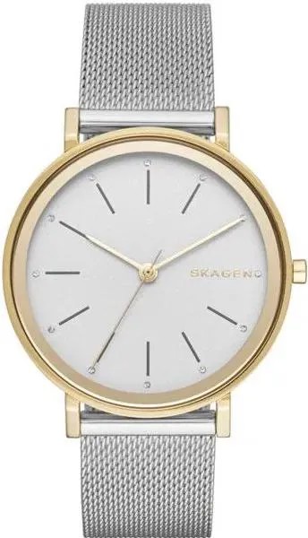 Наручные часы  женские Skagen SKW2508