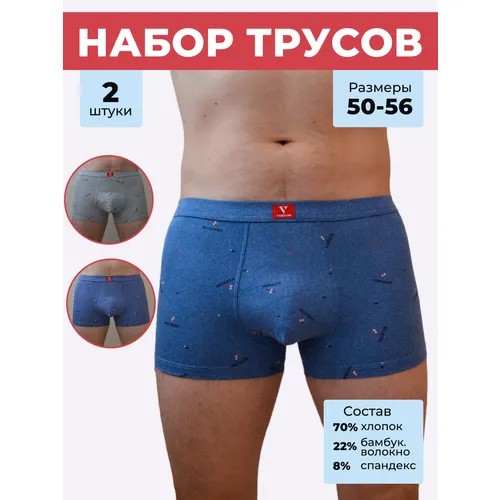 Трусы Vericoh, 2 шт., размер 50, серый, голубой