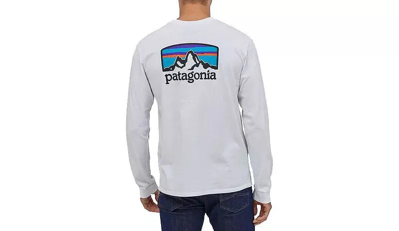 Мужская футболка Patagonia Fitz Roy Horizons Responsibili с длинными рукавами и рисунком, белый