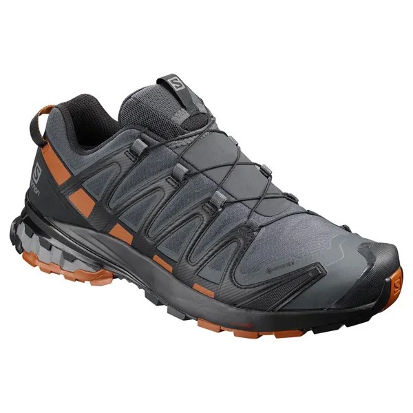 Кроссовки для бега Salomon XA Pro 3D V8 Goretex Trail, серый