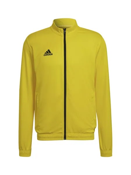 Тренировочная куртка Adidas Entrada 22, желтый