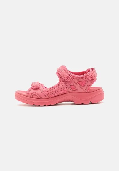 Треккинговые сандалии OFFROAD ECCO, цвет bubblegum