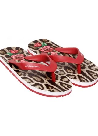 Шлепанцы пляжные Dolce & Gabbana