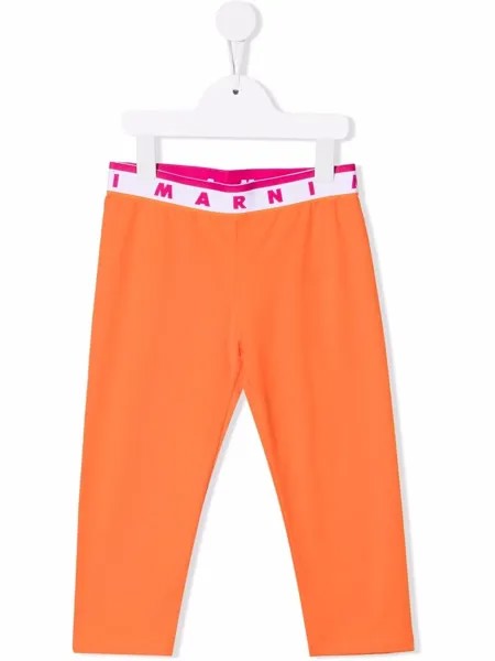 Marni Kids легинсы с логотипом