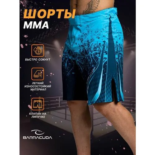 Шорты спортивные Barracuda, размер S, синий, бирюзовый