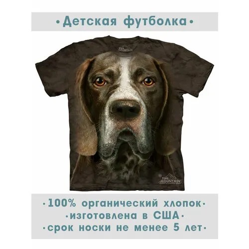 Футболка The Mountain, размер M-Y, коричневый