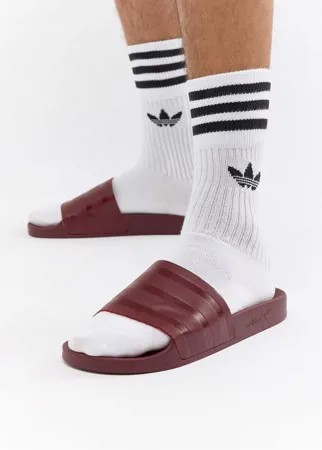 Красные шлепанцы adidas Originals Adilette CQ3095-Розовый