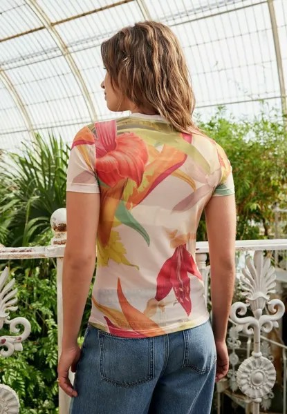 Футболка с принтом KEW COLLECTION SHORT SLEEVE Next, разноцветный