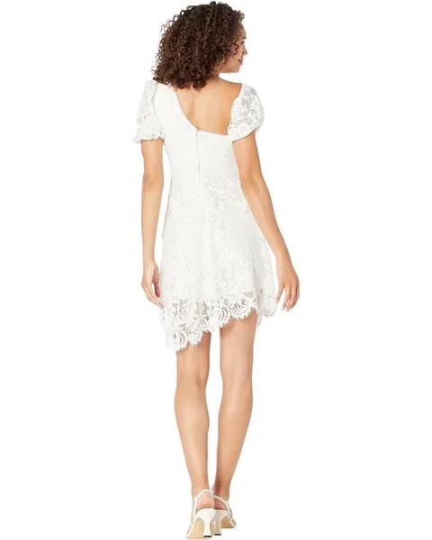 Платье BCBGMAXAZRIA Scalloped Lace Dress, белый