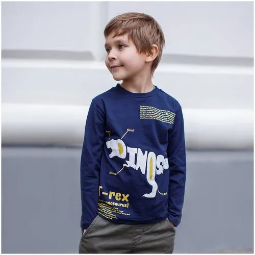 Футболка (лонгслив) детская Amarobaby KIDS, Dino, синий, 98