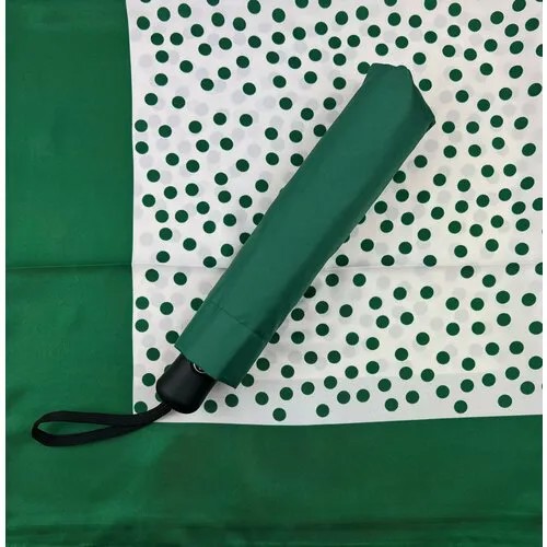 Зонт ArtRain, зеленый, белый