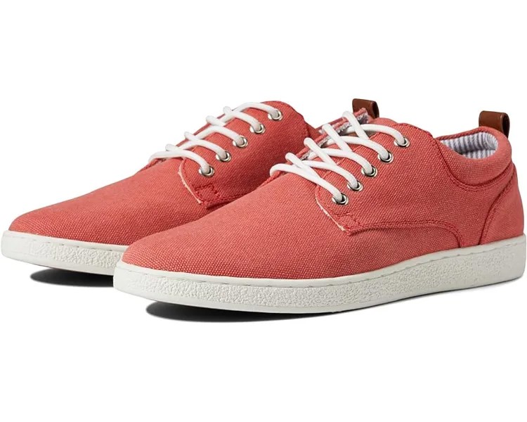 Кроссовки Steve Madden Mykka, цвет Red Canvas