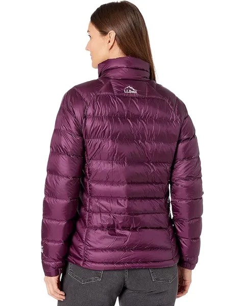 Куртка L.L.Bean Petite Ultralight 850 Down Jacket, цвет Royal Plum