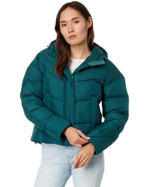 Куртка L.L.Bean Popham Puffer, цвет Dark Pine