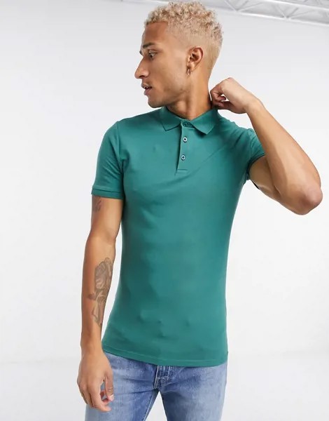 Зеленое трикотажное облегающее поло из органического хлопка ASOS DESIGN-Зеленый цвет