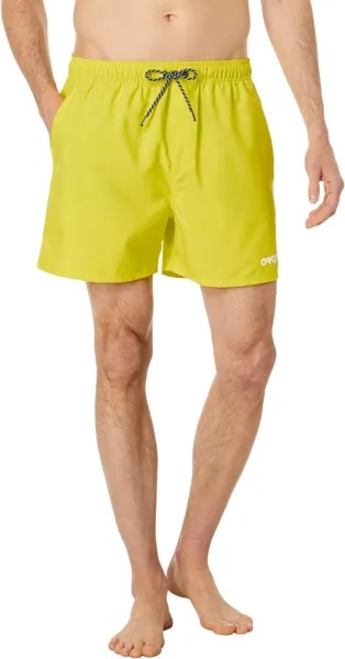 Пляжные шорты Oakley Beach Volley 16