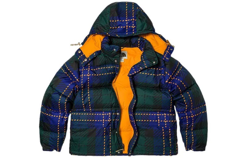 THE NORTH FACE Мужской пуховик, цвет Blue