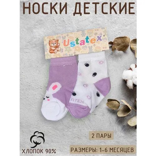 Носки Ustatex 2 пары, размер 7/8, фиолетовый