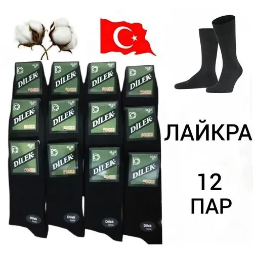 Мужские носки DILEK Socks, 12 пар, размер 41-43, черный