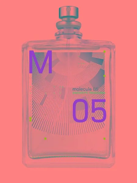 Туалетная вода Molecule 05 100 ml