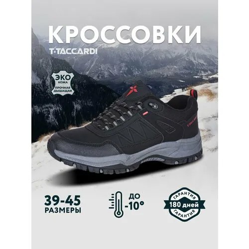 Полуботинки T.Taccardi, размер 41, черный