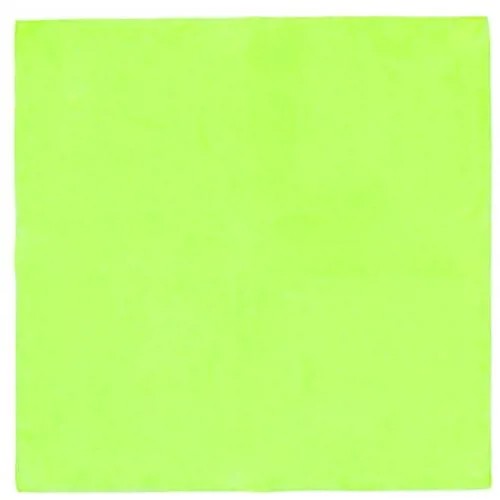 Платок WHY NOT BRAND, 53х53 см, зеленый