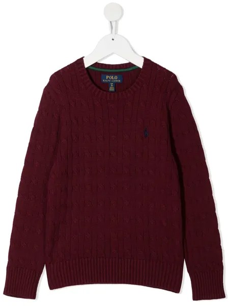 Ralph Lauren Kids джемпер фактурной вязки с длинными рукавами