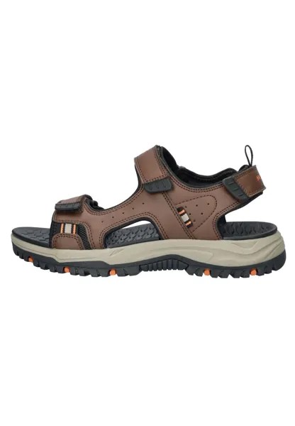 Треккинговые сандалии PREWITT Skechers, цвет bruin