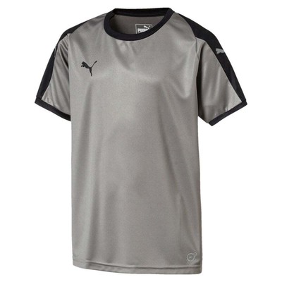 Футболка Puma Liga Logo Crew Neck с коротким рукавом для мальчиков Молодежная серая 703418-13