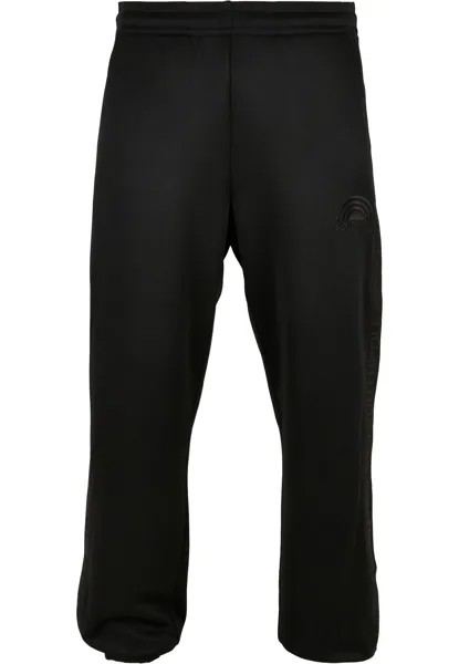 Спортивные брюки Southpole Hosen, черный