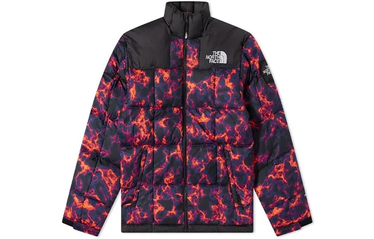 Коллекция 1990 года, пуховик мужской, многоцветный The North Face, цвет Multicolor