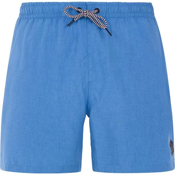 Шорты для плавания Protest Davey Swimming Shorts, синий