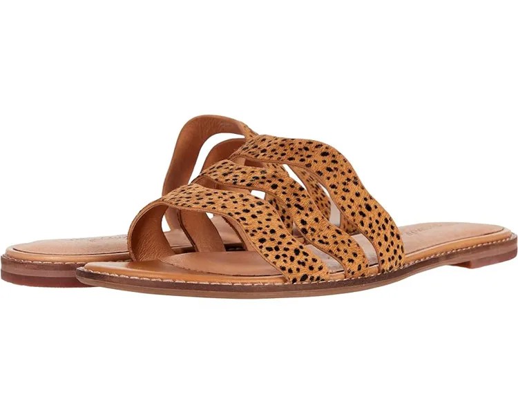 Сандалии Madewell Joy Wavy Sandal in Spot Dot, цвет Tigers Eye