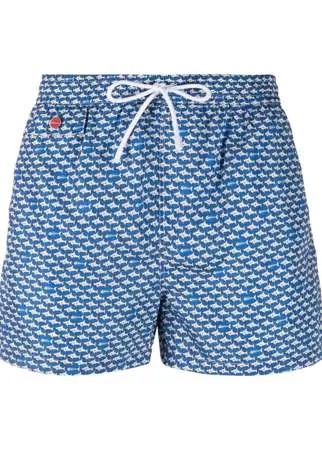 Kiton плавки-шорты с кулиской и графичным принтом