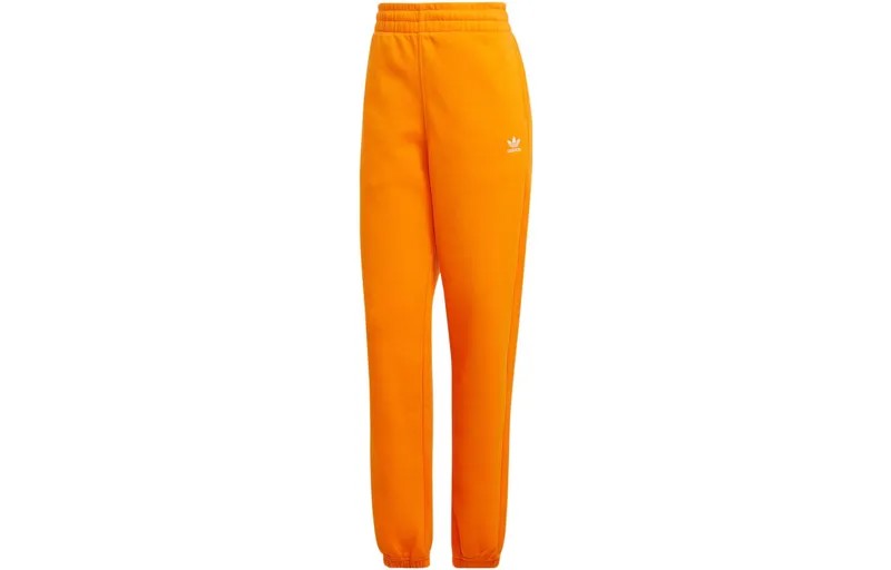 Трикотажные спортивные штаны женские светло-оранжево-желтые Adidas Originals