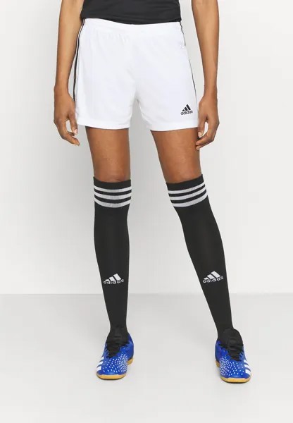 Спортивные шорты Adidas