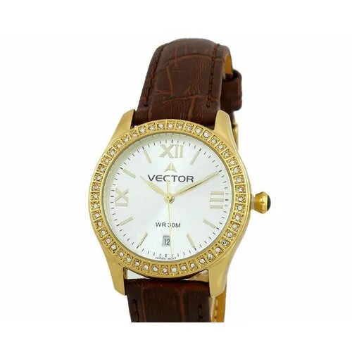 Наручные часы VECTOR Часы VECTOR VC9-0055938Q сталь, золотой