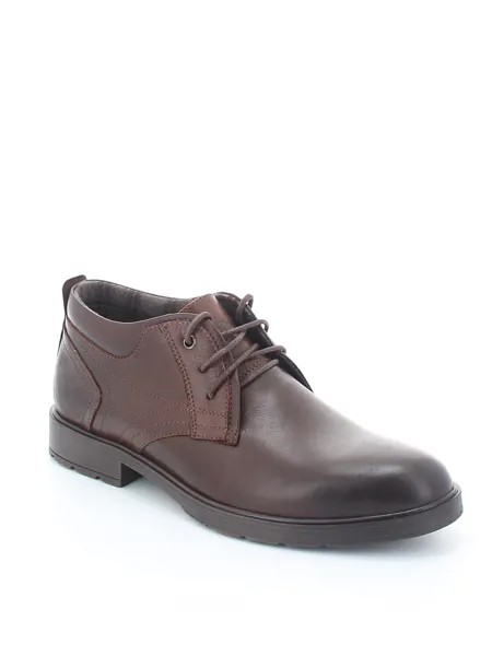 Туфли Shoiberg мужские демисезонные, размер 41, цвет коричневый, артикул 758-03-01-02T