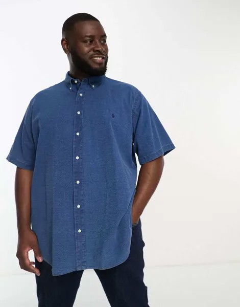 Темно-индиго рубашка из жатого хлопка в полоску с короткими рукавами и логотипом Polo Ralph Lauren Big & Tall