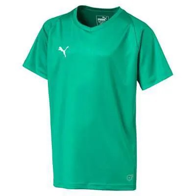 Футболка Puma Liga Core с V-образным вырезом и короткими рукавами для мальчиков, размер S 70354205