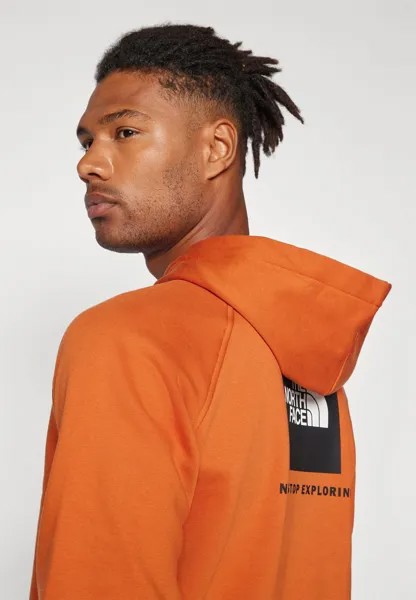 Джемпер с капюшоном RAGLAN REDBOX HOODIE The North Face, коричневый