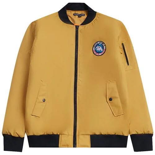 Куртка Anteater Bomber / L