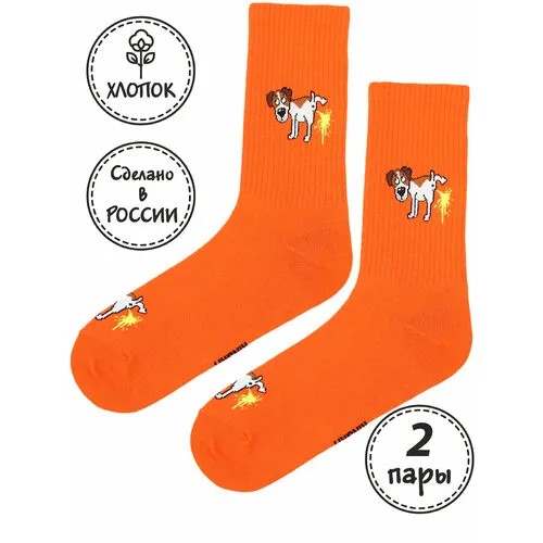 Носки Kingkit, 2 пары, размер 41-45, горчичный, желтый, оранжевый